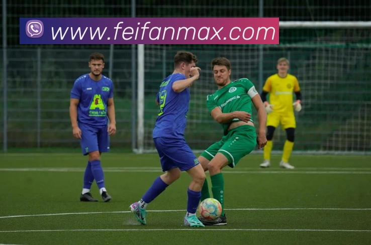 互动解说服务